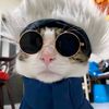 piowwpioww