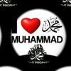 alirazaj946