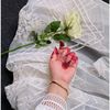 mishaalnoor13