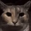 jxnns23