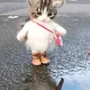 jhssl13