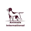 animalsinternational