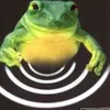 bekebeka8