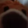 fulkingbeacth