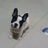 mariano_st6
