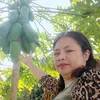 diephoang216