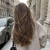 veelily00