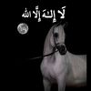 alamal_1111