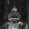 murad.921