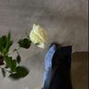 w_n047