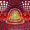 wisdomportal369