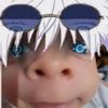 magi.am