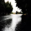 hadi_a.1