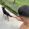 gabrielzinhontj33