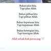 wonk.ireng2