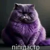 petro0666666