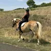 prokipcsuk_vivien