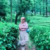 dew_232