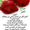 wesdar4
