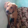 coposdafelicidadeofc