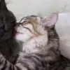 malinka_mrrrr