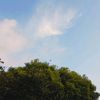 aiflyinthesky