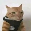 rodrickjohanllena