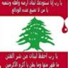 lebaneseandproud7