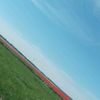 t96yk