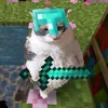 cuscuzinh00