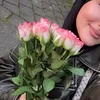 hayat.arezu_