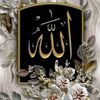 user754216159