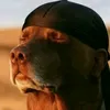 skr8ll