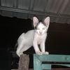 dosweetyen.ilikeitverym0