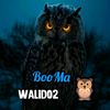 walidpiratage02