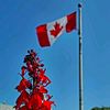 canadaally2