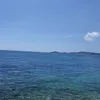 tazinisrine