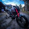 oyen.hesmess