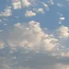jihanduski1