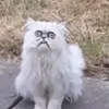ara_tut00