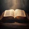 amenestsonnom