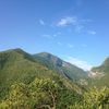 ceromiedodelinquencia