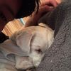 stevenc_1406