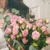 yasmin_amr0