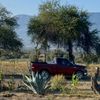 elvaquerodetamaulipas