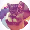 hiba_el136