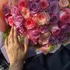 shory598
