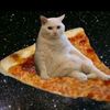 gatochikito
