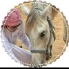 user92166878