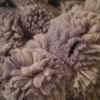 peaceofwildthings3